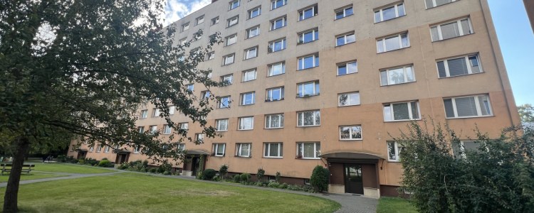 46_8150488010.jpg